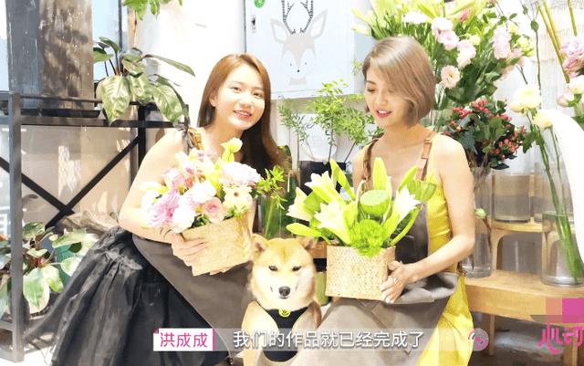 寻找沙漠珍宝